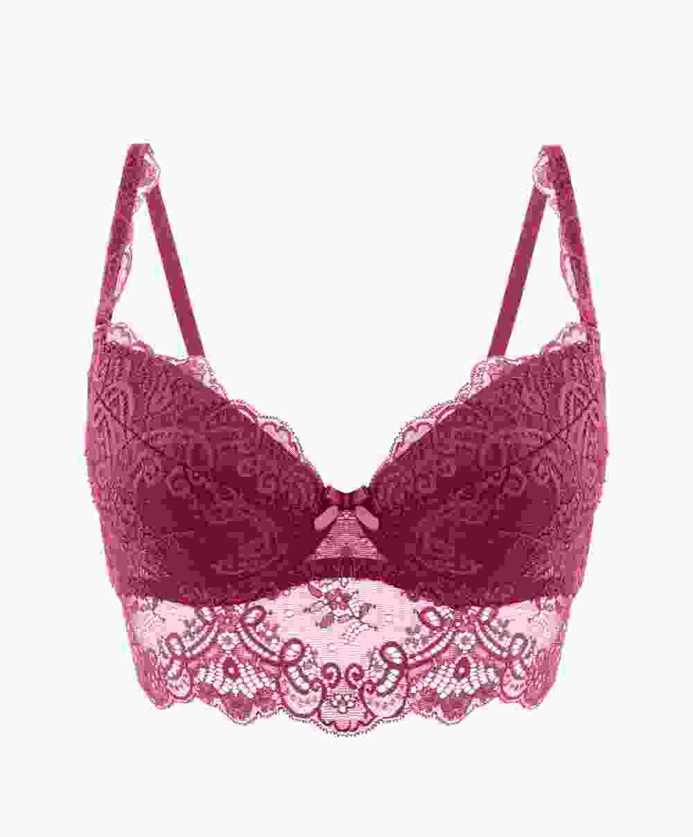 Women's Padded Bra - Image 4