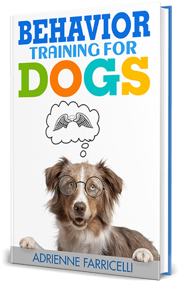 Dog Brain Book